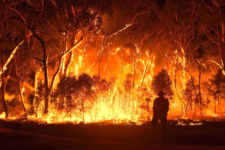 Australia is on fire, this is how you can help